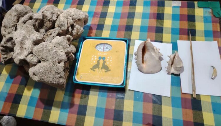 FB IMG 1783188889854