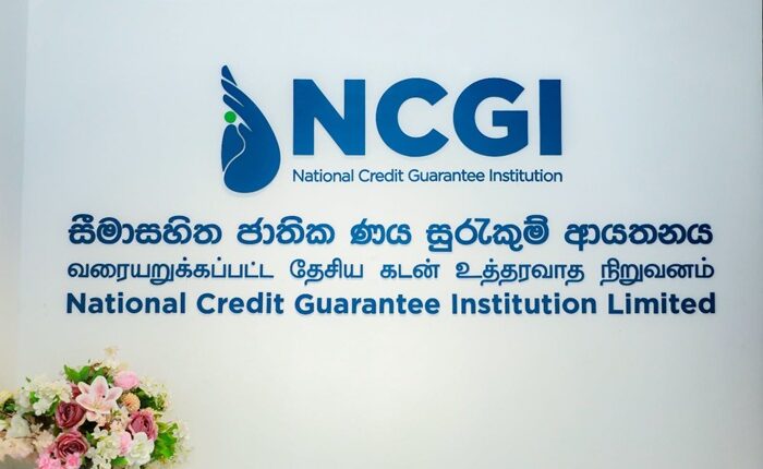 National Credit Guarantee Institution