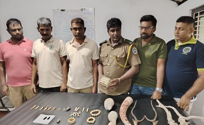 Wildlife arrest 1