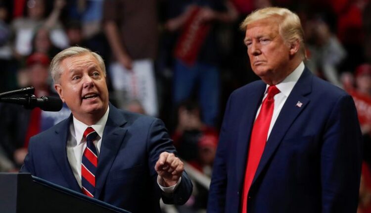 skynews lindsey graham donald trump 6811565