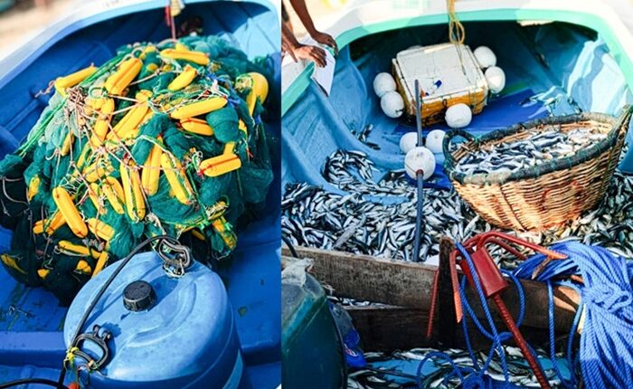 Illegal fishing