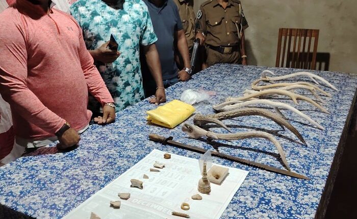 Kuruvita wildlife parts