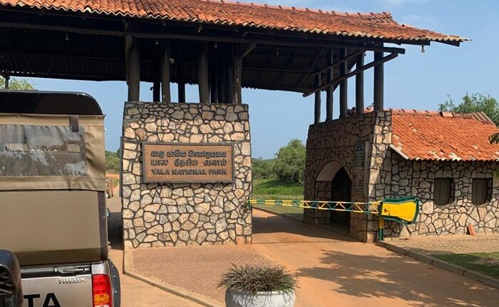 Yala National Park 1