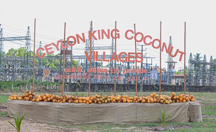 Ceylon King Coconut Village