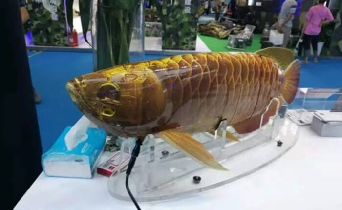 China robot fish