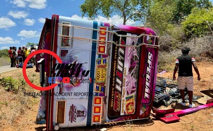 Yala bus elephant attack