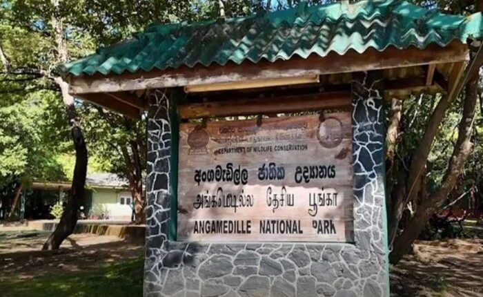 Angamedilla national park