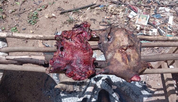 WhatsApp Image 2026 10 14 at 18.12.11 1