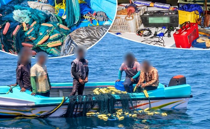 illegal fishing