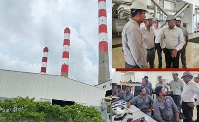 lakvijaya plant